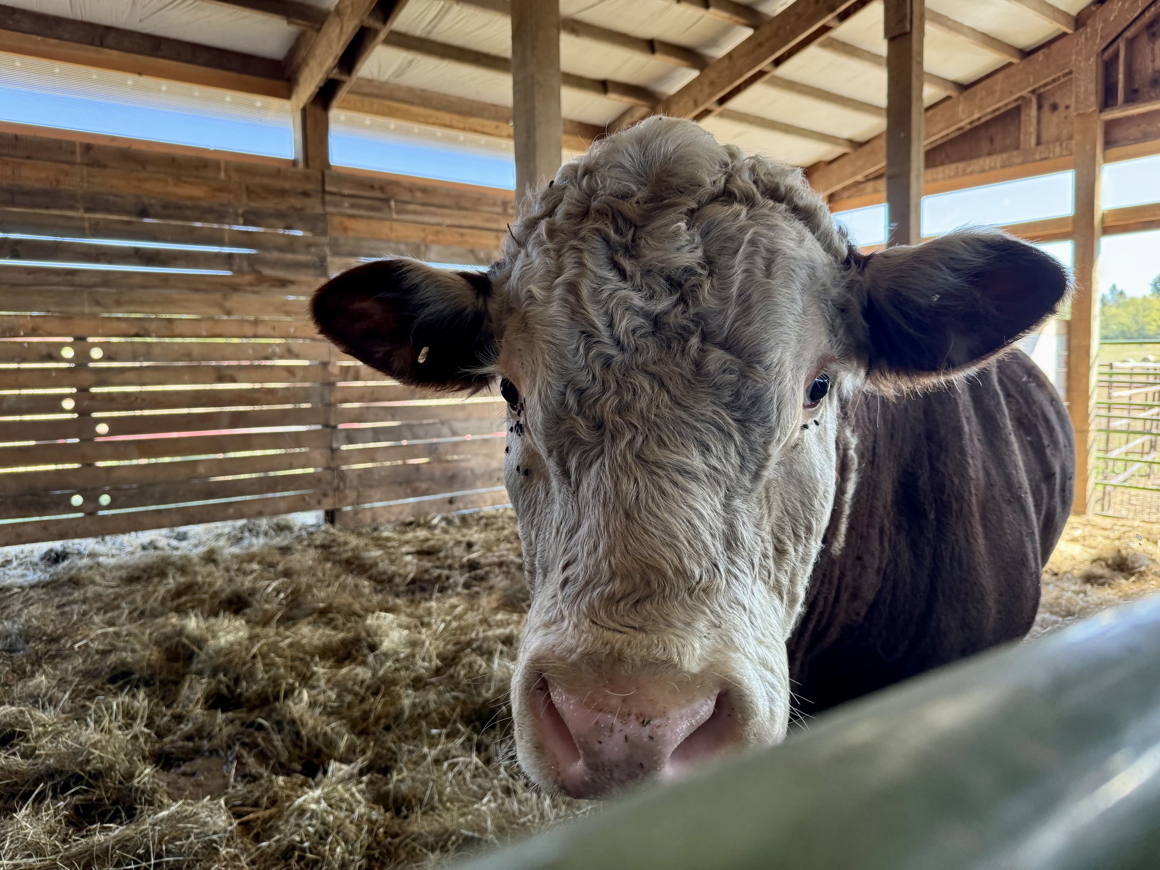 A Skeptic's View of Philanthropic Farmland